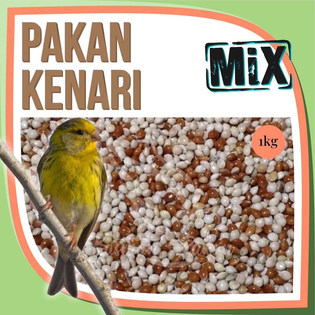 Pakan Kenari Cepat Gacor 1kg Campur Milet Merah Milet Putih