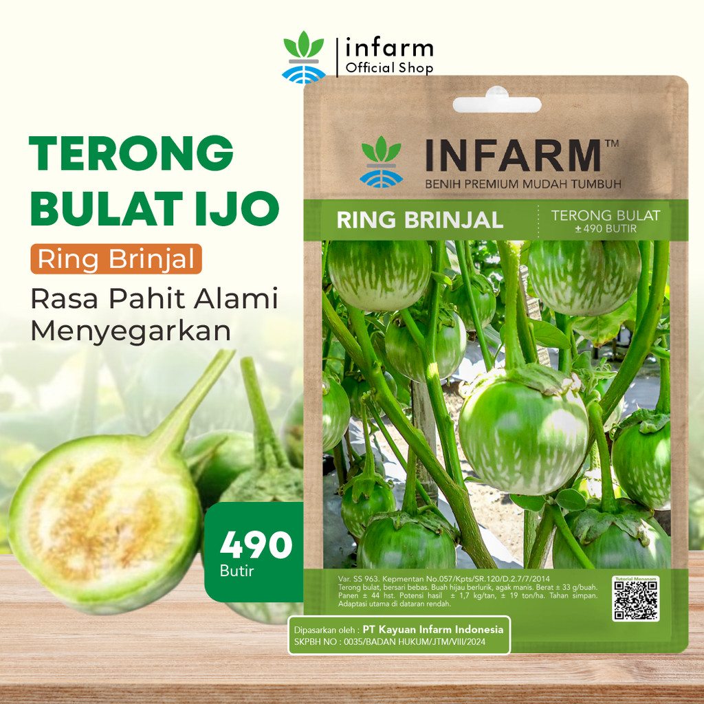 INFARM - Benih Unggul Terong Lalap Ring Brinjal Bulat Bibit Terong Hijau Lurik