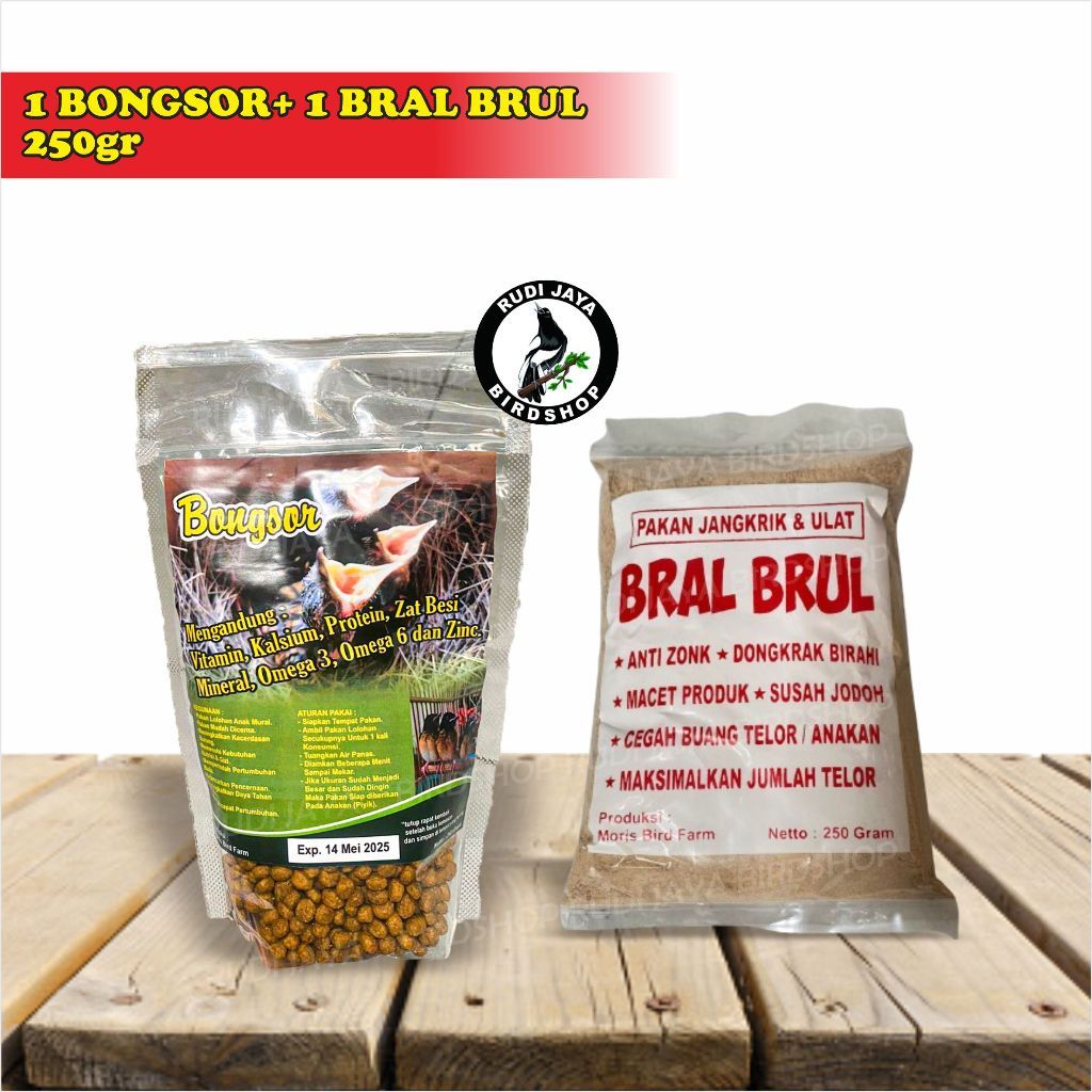 SEDIA BONGSOR LOLOH DARI BRAL BRUL PELET PAKAN MAKANAN LOLOHAN PIYIK ANAKAN BURUNG MURAI KACER WAMBI