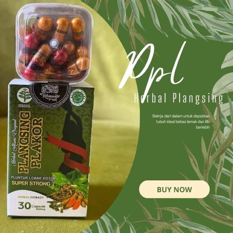 PIL DIYET PHELAHKOR Pelangsing HERBAL Plakor Original TOKO PINKY-LISA