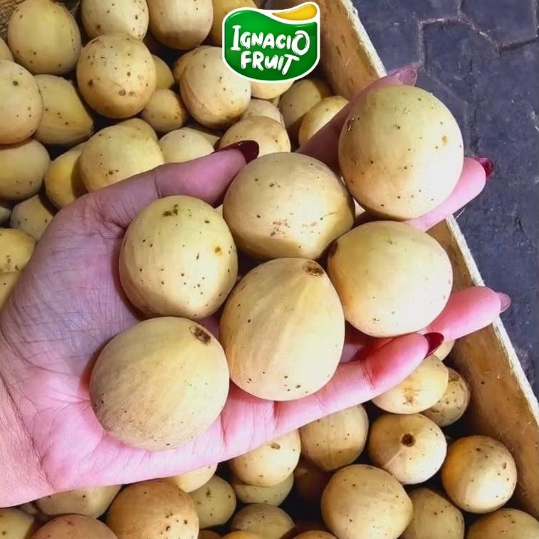 PAKET DUKU PALEMBANG MANIS