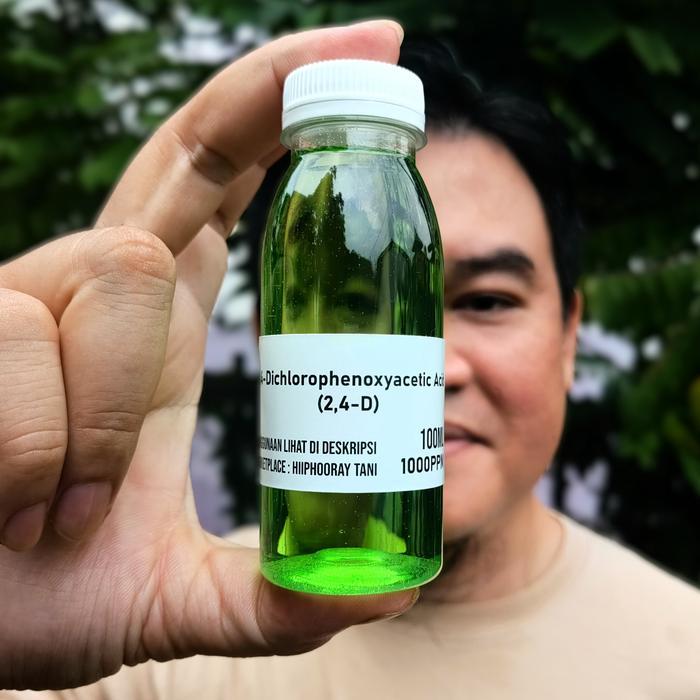 Hormon Tanaman 2,4-D (2,4-Dichlorophenoxyacetic Acid) 100ml Kalus Varigata Cegah Gugur Buah
