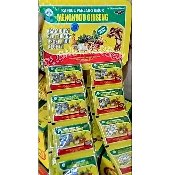 Mengkudu Gingseng Hanger original 100%