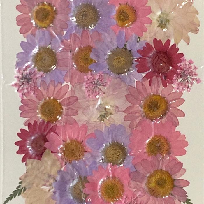 Dried flower pressed flower bunga kering - Pink1