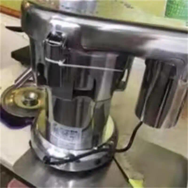 Stainless Steel Electric Fruit Vegetable Juice Extractor Juice Separator 110V 220V