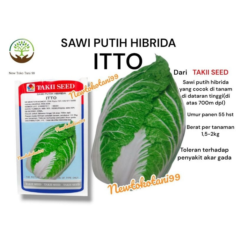 Benih sawi ITTO 20ml sawi putih petsay itto dari takii seed sawi bungkus takii petsai itto STMJsby