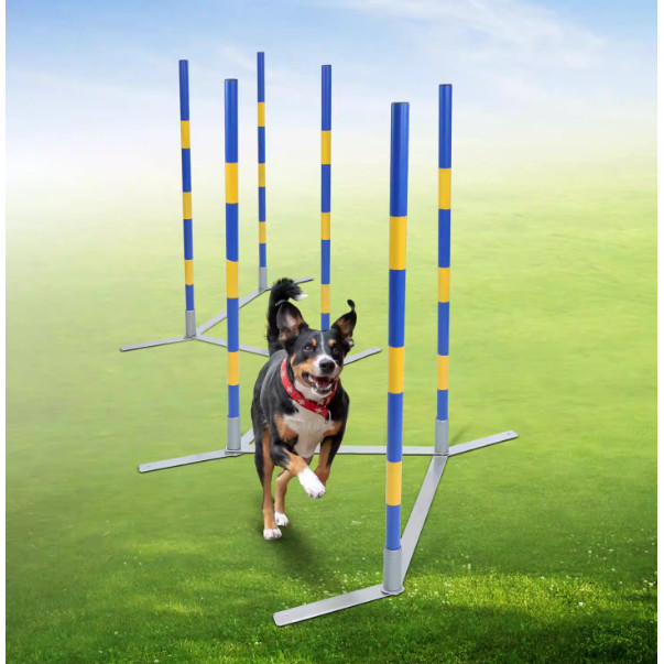 Pet Dog Agility Weave Pole Dog Training Slalom Jump Hurdle