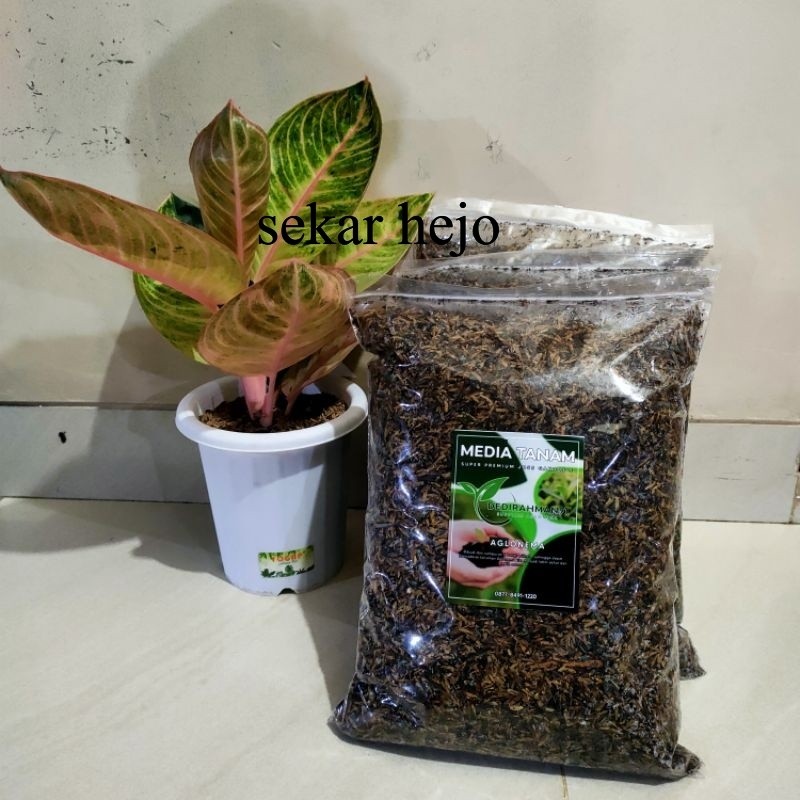 MEDIA TANAM aglonema super premium JOSS GANDOS 1kg