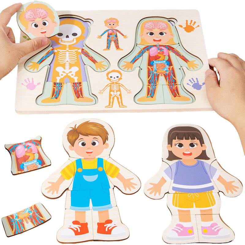 Kid Human Body Structure Puzzle Toy Montessori Wooden Body Organs Learn Tools Boys Girls Anatomy Puz