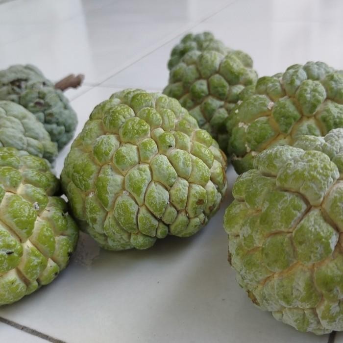 Buah Srikaya Hijau Segar 1 kg