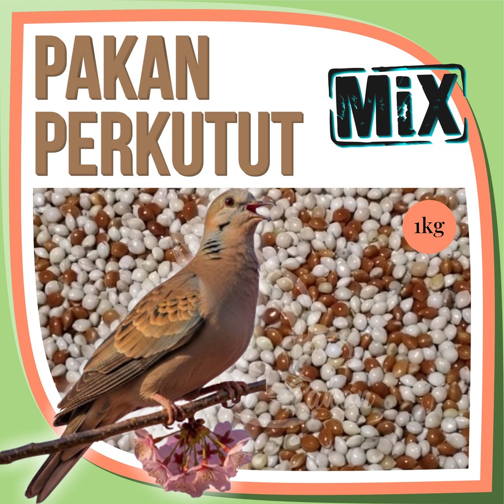 Pakan Perkutut Gacor Berkualitas Racikan 1kg Milet Merah Milet Putih