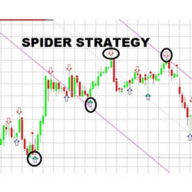 Indikator Spider Strategi MT4 / MT5