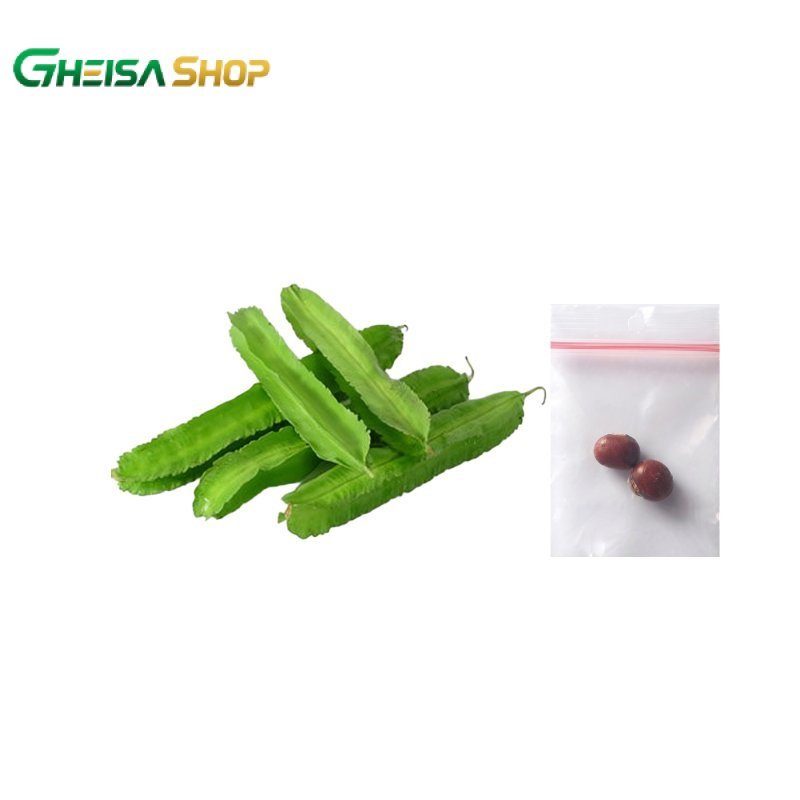 BIBIT/BENIH KECIPIR ISI 2 BIJI | BENIH SAYUR UNTUK TANAM KEBUN POLYBAG / BIBIT TANAMAN SAYURAN REPAC