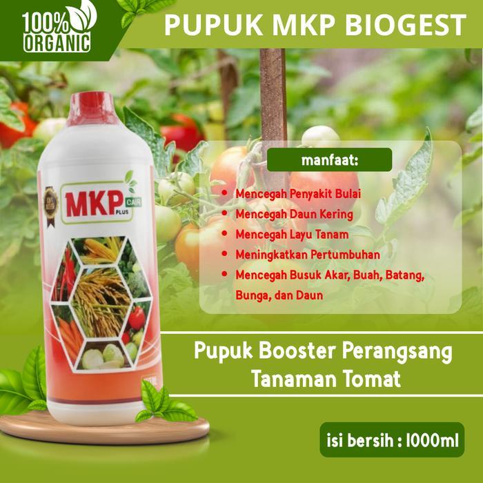 Pupuk MKP Biogest Cair 1000ml Pupuk Bunga, Pembesar Buah & Pencegah Rontok Tanaman Tomat - mkp