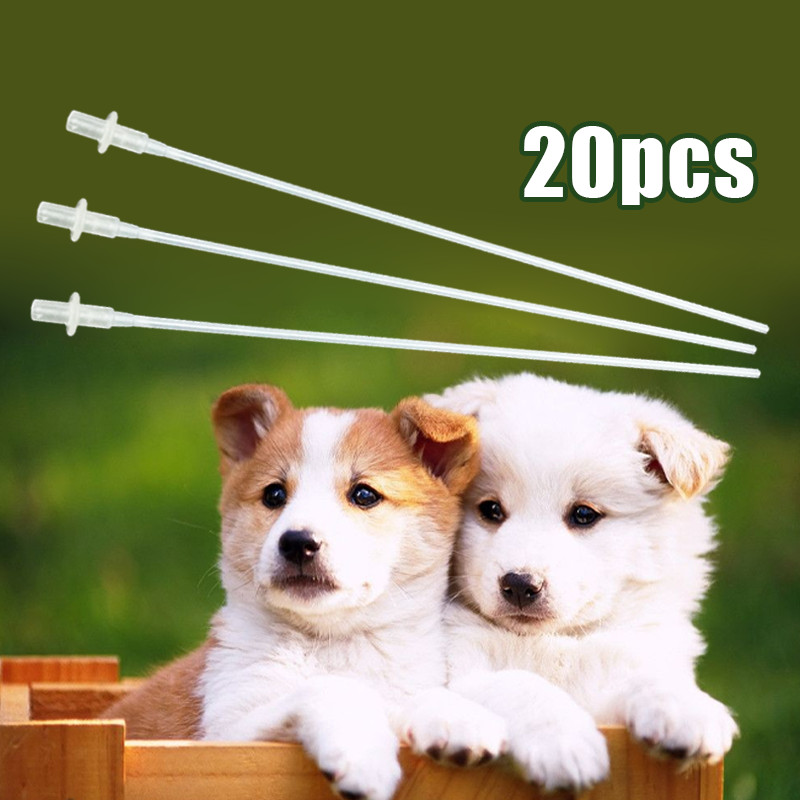 20pcs Selang Kawin Suntik Inseminasi Buatan Plastik Alat Kawin Suntik Inseminasi Buatan Hewan Anjing
