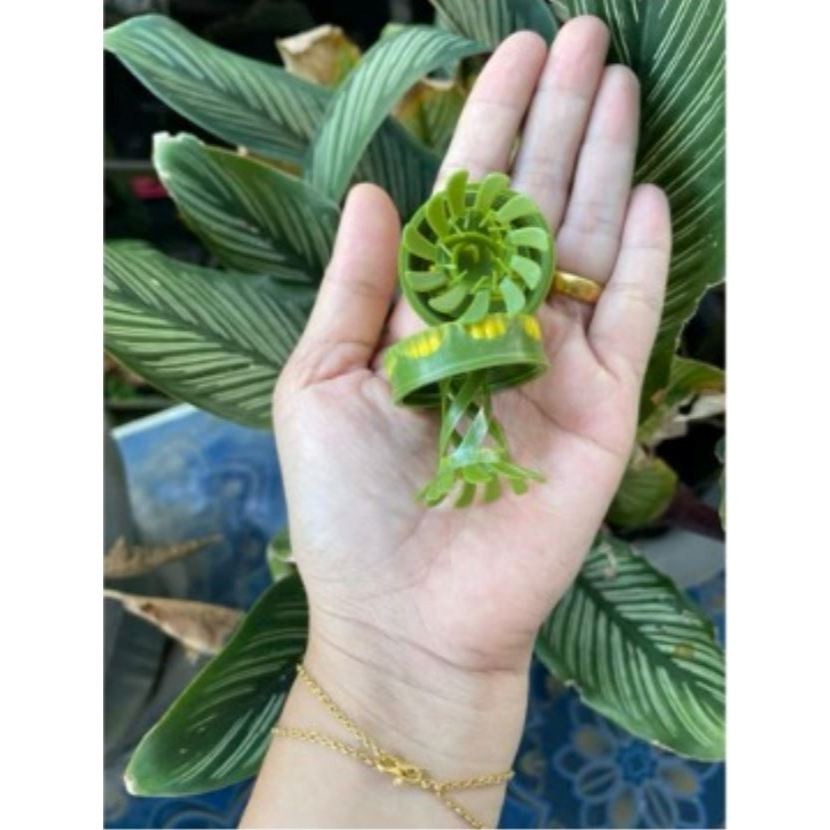 ARGASHELL ginseng kianpi pil original bpom