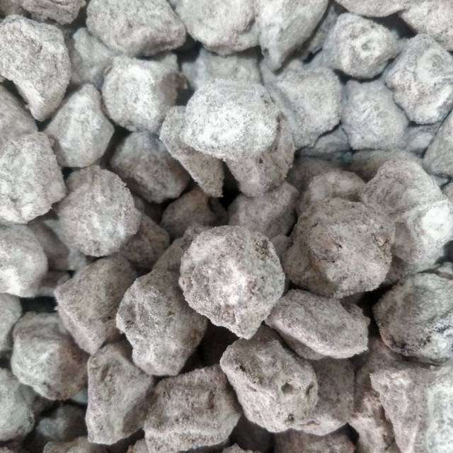 MANISAN KIAMBOY PLUM KERING ASIN per 100 GRAM