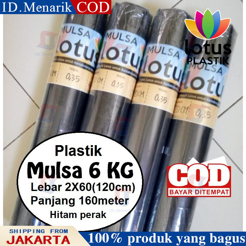 mulsa plastik mulsa pertanian 1 roll plastik hitam perak lebar 120 cm panjang 160 meter cabe tomat b