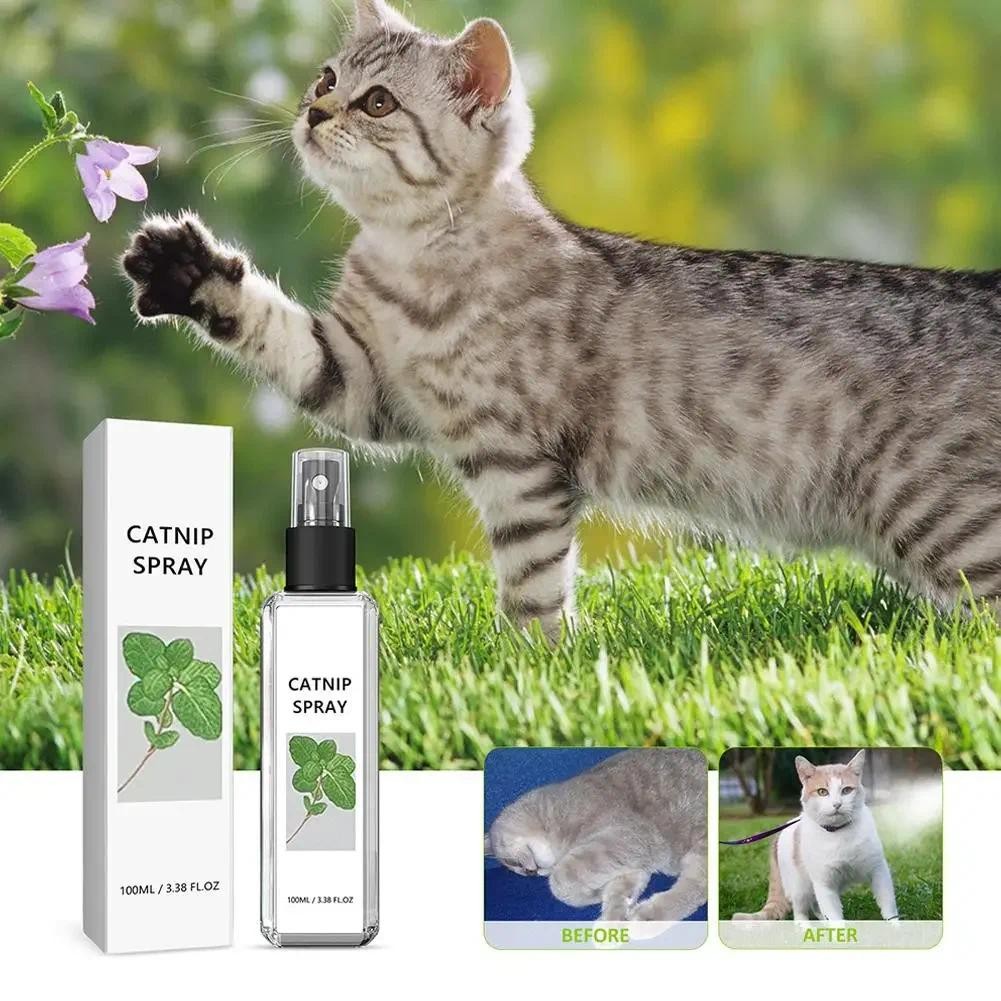 1pc/3pcs Cat Mint Spray Alleviates Cat's Anxiety and Increases Pet's Vitality Health Care Spray  Cat