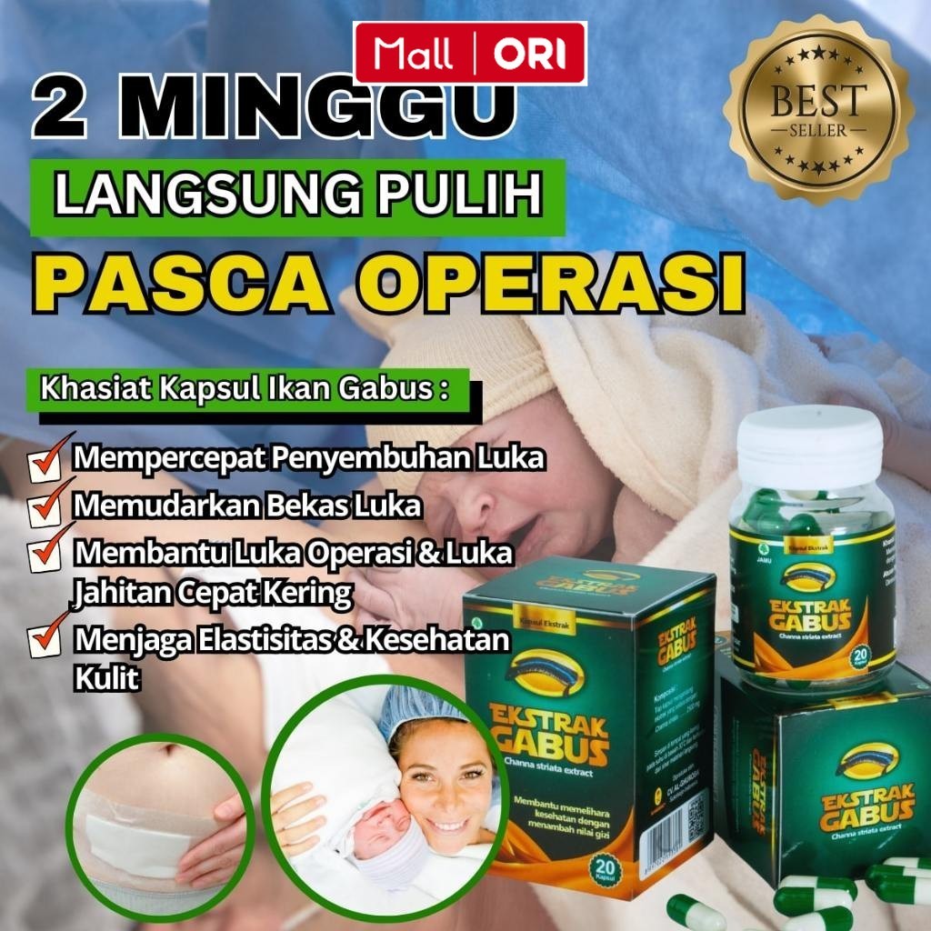 Kapsul Ikan Gabus BPOM / Ikan Kutuk Isi 20 Ekstrak Albumin/ Luka Diabetes & Pasca Operasi