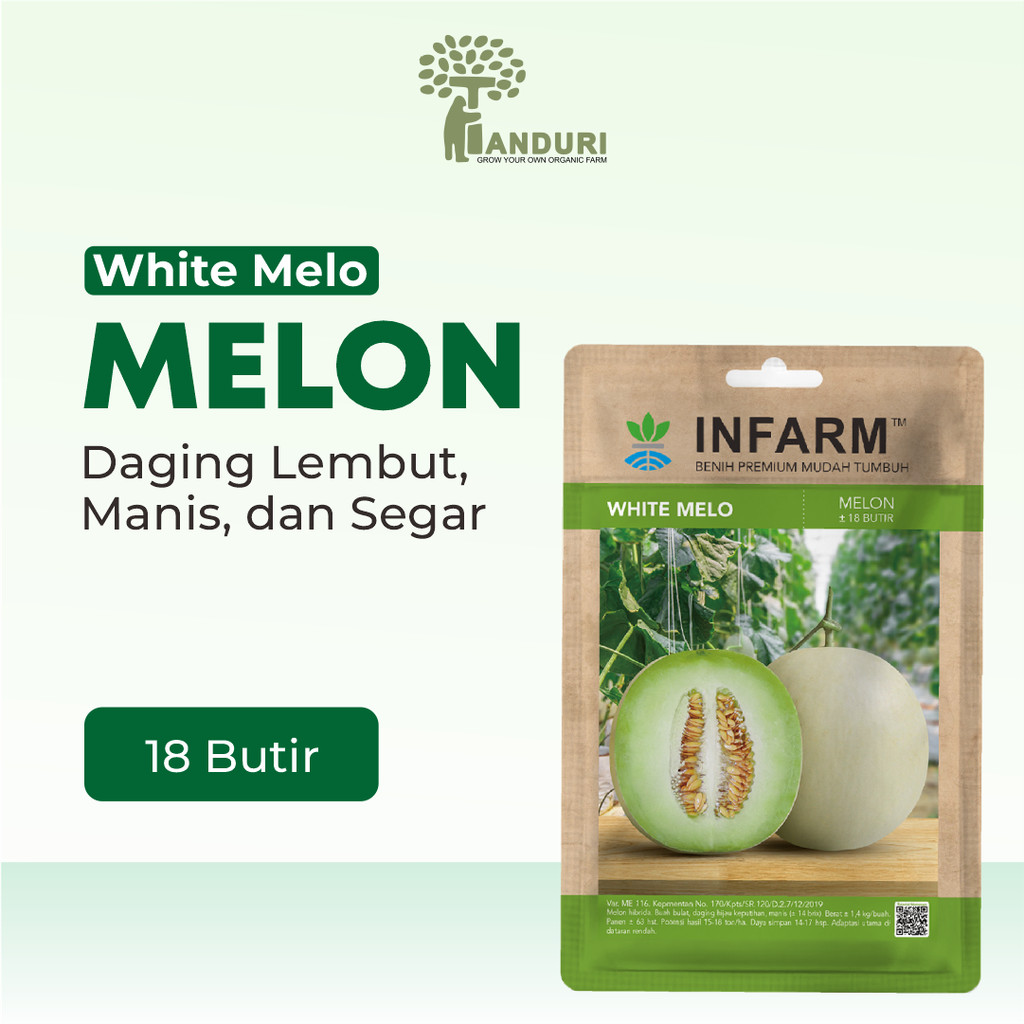 TANDURI - Benih Buah Melon Whitemelo, Benih Unggul Buah Melon Hibrida F1 Bibit Super Buah Melon Madu
