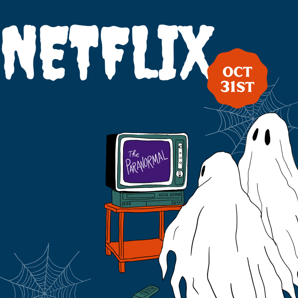 Netflix Private 1 Bulan Bergaransi