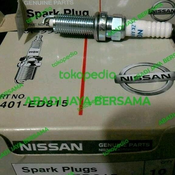 Busi livina original