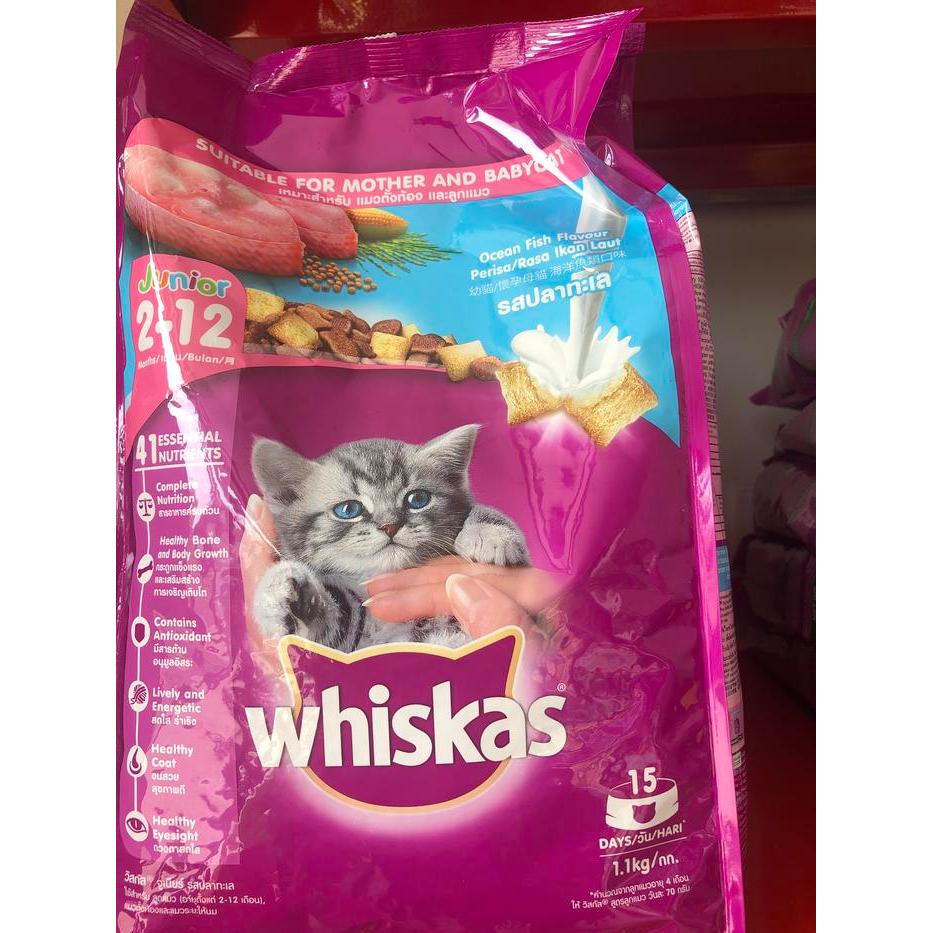 WHISKAS JUNIOR OCEAN FISH 1.1 KG WHISKAS JUNIOR OCEANFISH 1.1 KG