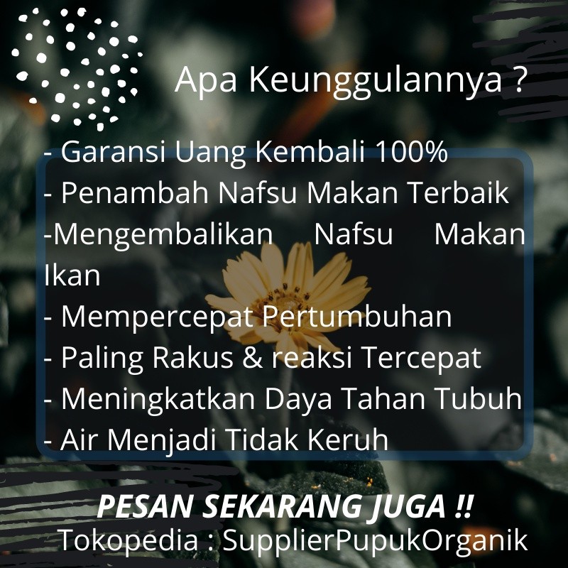 ADA [BEST SELLER],Vitamin Ikan Arwana,Vitamin Ikan Arwana Golden Red,,Vitamin Ikan Arwana Super Red