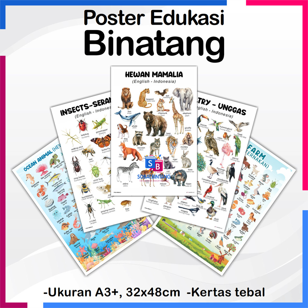 Poster Edukasi HEWAN - Poster binatang darat, hewan laut, poster edukasi - Sobat Bintang