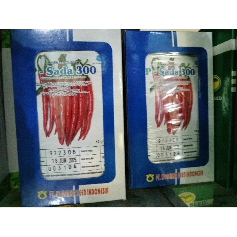 Cabe Besar Hibrida P Sada 300 F1 Kemasan 10gr Original Pabrik