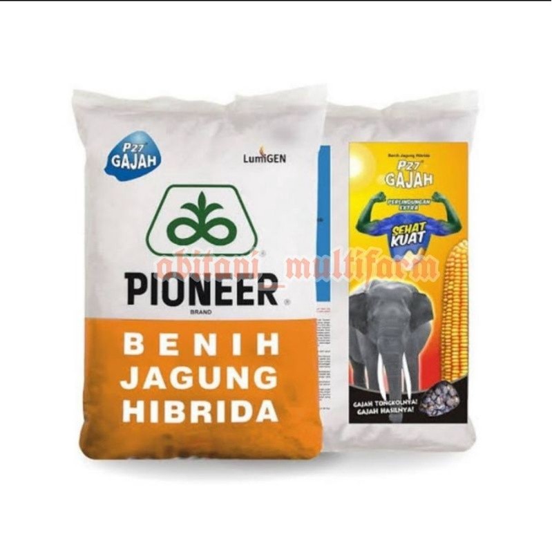 Bibit - Benih Jagung P27 Gajah Lumigen - 1 Kg