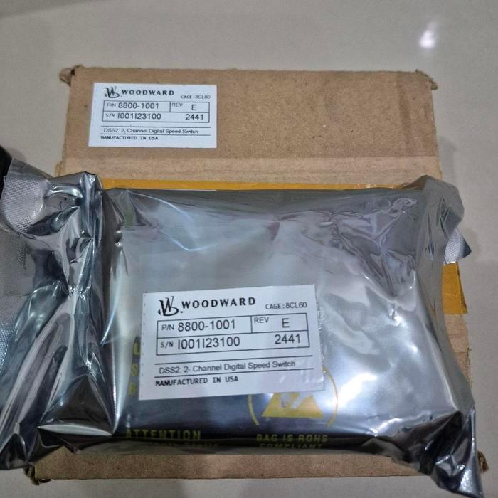 WOODWARD DSS-2 8800-1001 2-Channel Digital Speed Switch