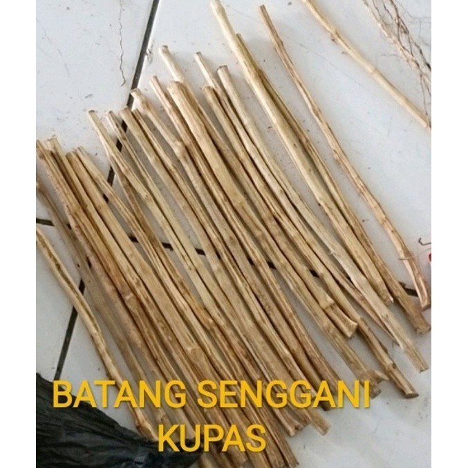 LadangHerbal BATANG SENGGANI KUPAS & BATANG KOPI AQUASCAPE AQUARIUM