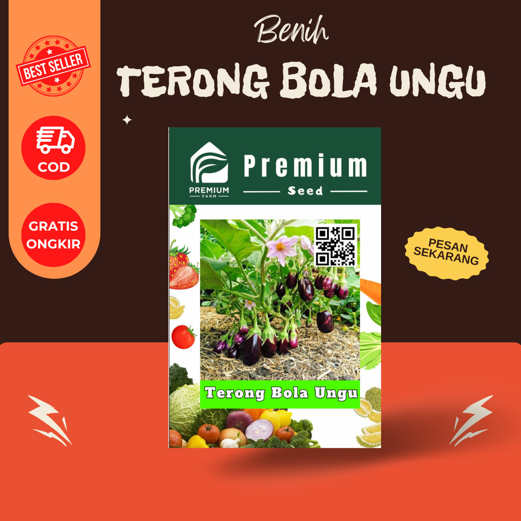 Benih terong bola ungu F1 terong pondoh ungu