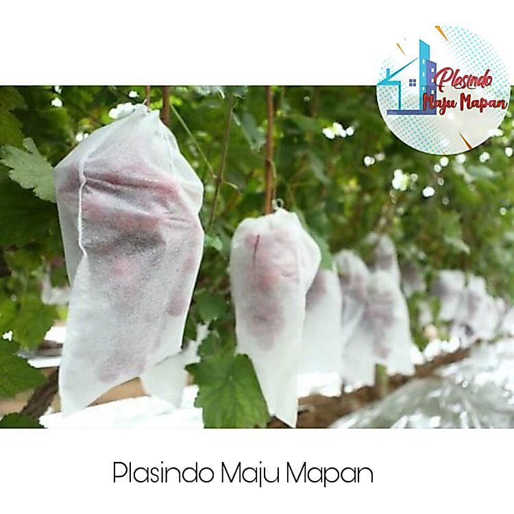 Fruit Cover - Brongsong Buah ( ecer ) / Pembungkus Buah Jeruk, Apel,Mangga, Anggur,Alpukad