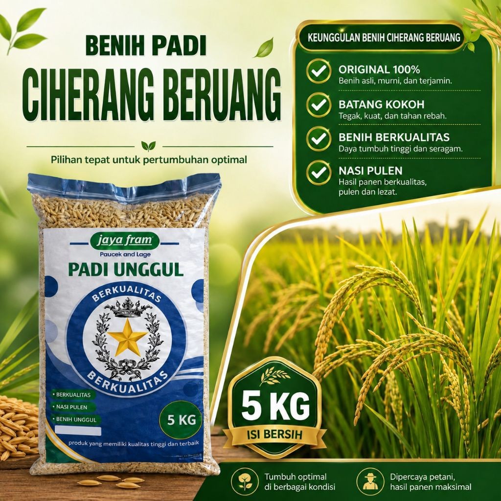benih padi Ciherang beruang kemasan 5kg benih padi Ciherang beruang