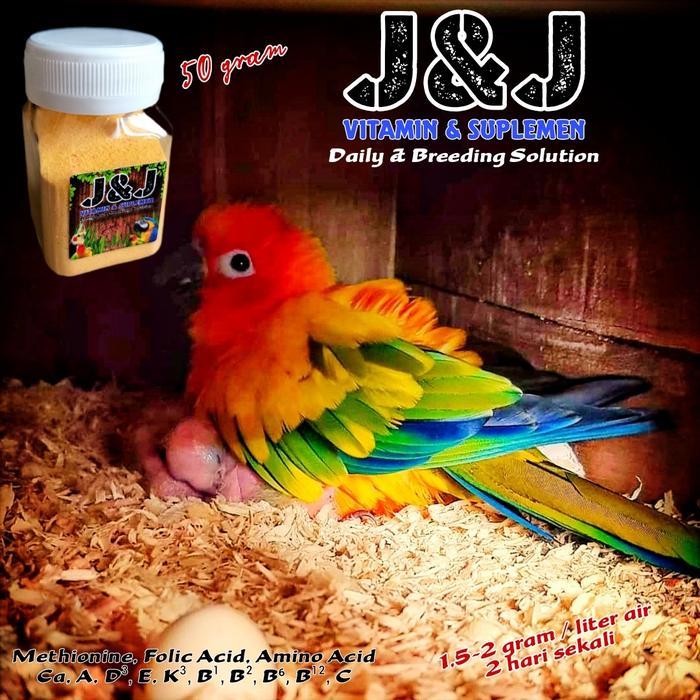 J&J Vitamin ternak Parrot Kenari Conure Lovebird Falk