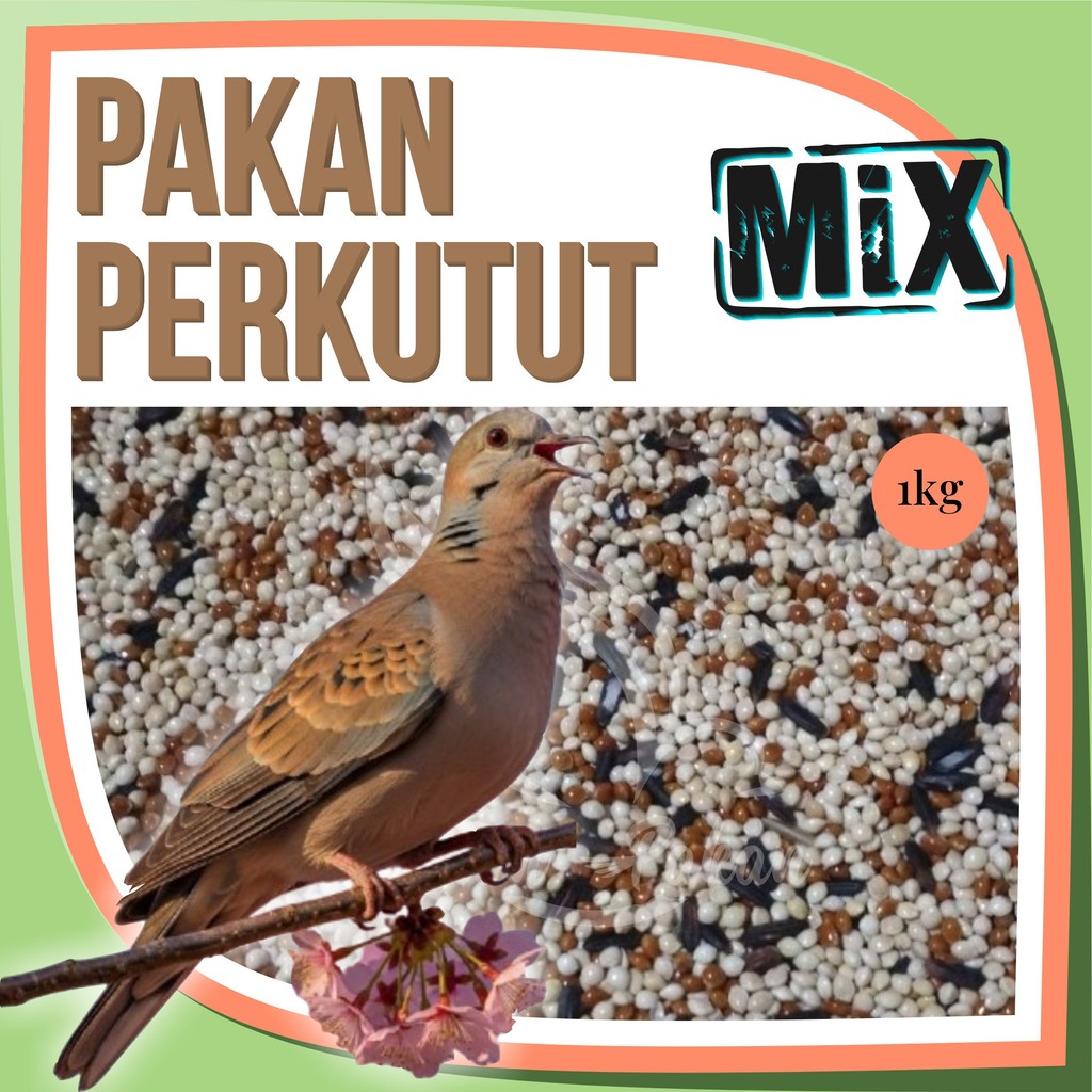 Pakan Burung Perkutut 1Kg Supaya Gacor Kiloan Ketan Hitam Milet Merah Milet Putih