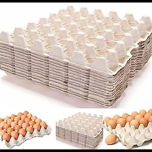 Tray Telur / Egg Tray / Tempat Telur/ Tray Telur Karton Dijual per 10 Lembar