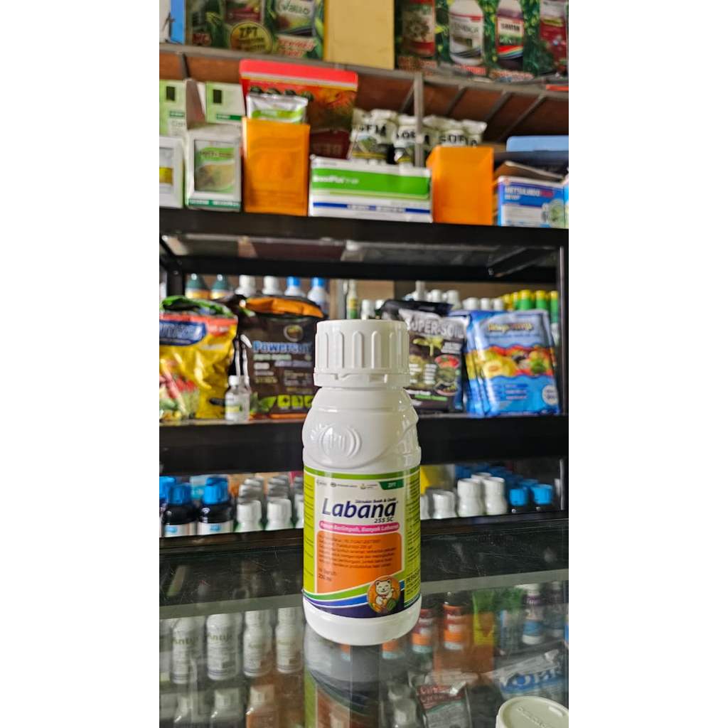 Labana 255 SC Paclobutrazol 255 g/L ZPT Pengatur Tumbuh Perangsang Bunga Buah Mangga Durian Kelengke