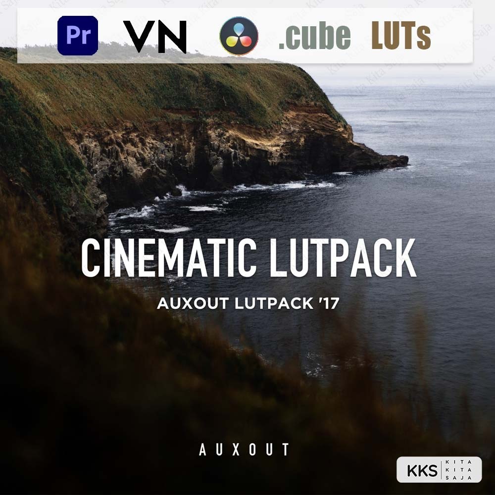 (BISA VN) Japan AUXOUT Cinematic LUT LUTs  untuk VN Premiere Pro Davinci Resolve | Android iOS PC