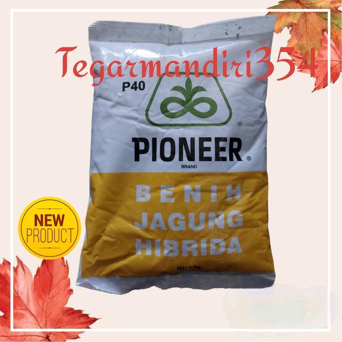 PROMO  Benih jagung p40 family 1kg bibit jagung pioner p40 1kg