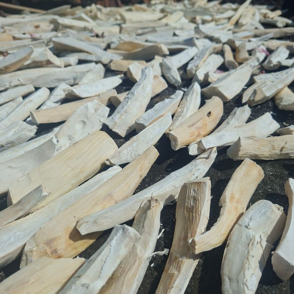 gaplek singkong SINGKONG KERING GAPLEK ASLI GUNUNG KIDUL gaplek kering