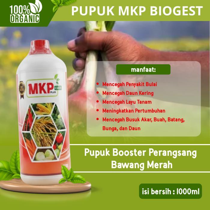 Pupuk MKP Biogest Cair 1000ml Bunga & Pembesar Buah Bawang Merah