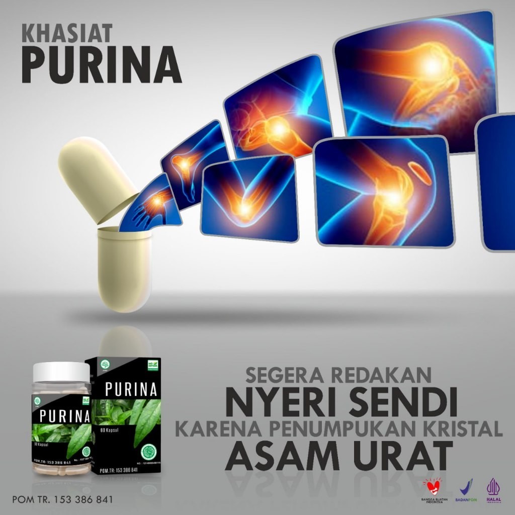 Purina Cv Al Afiat Sehat Alami Obat Asam Urat Nyeri Sendi Toko Herbal Optimis 80k