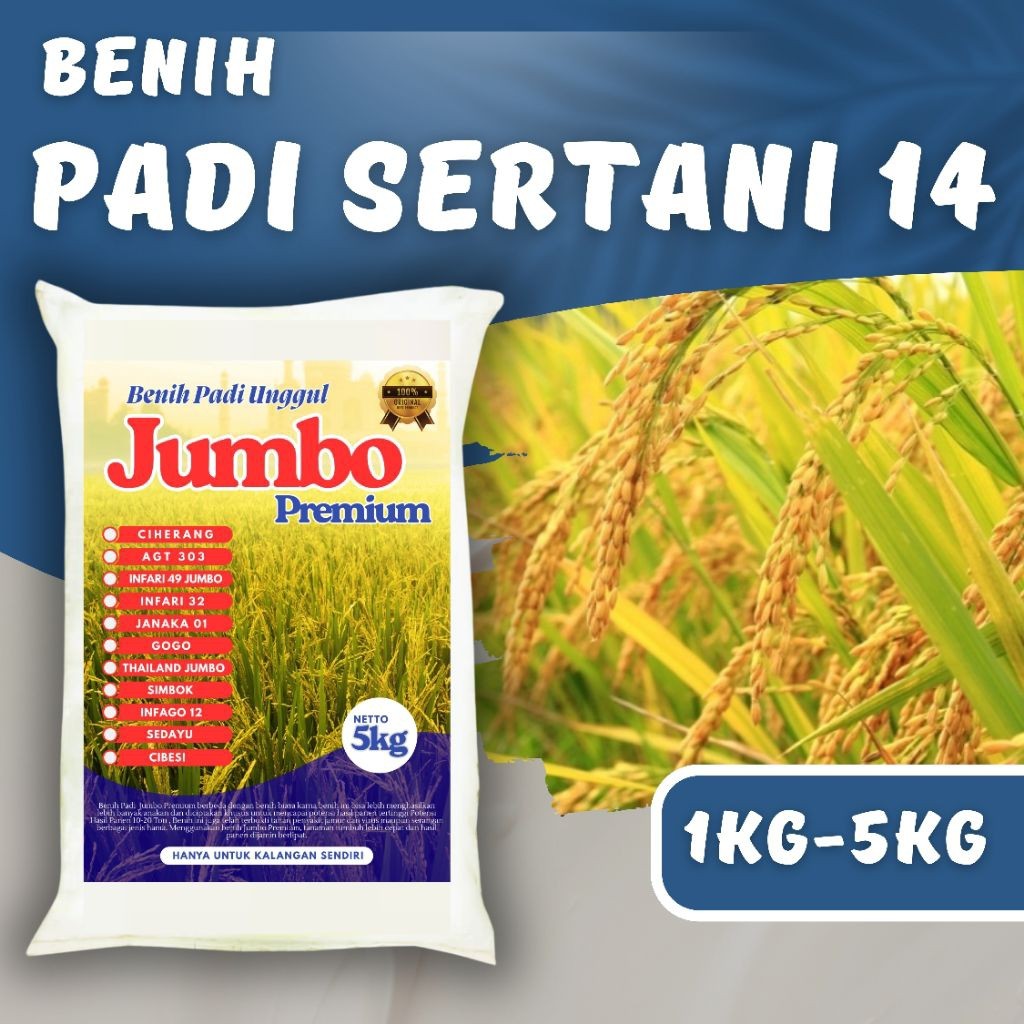 BENIH PADI UNGGUL SERTANI 14 PREMIUM padi Unggul sertani 14 kemasan 1kg - 5kg Berkualitas Super