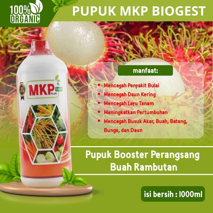 Pupuk MKP Biogest Cair NPK Organik Penumbuh Akar & Pelebat Daun Bunga | Pupuk Cair Pengganda Hasil P