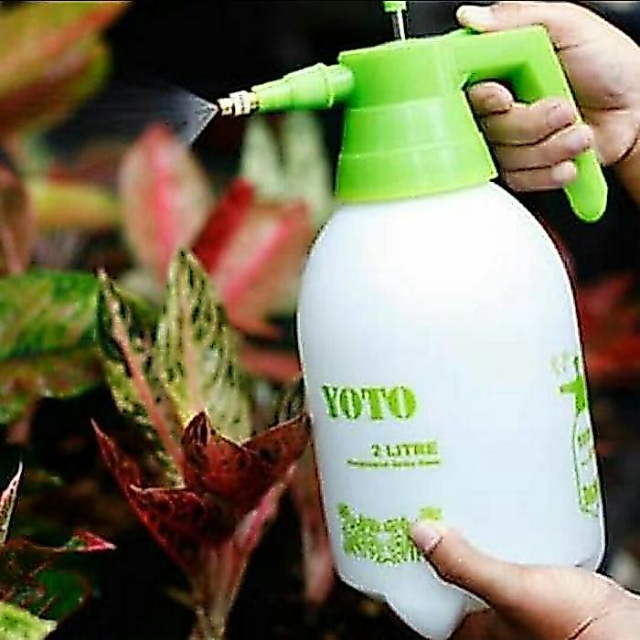 sarisa_shopp Pressure Hand Sprayer Yoto 2 Liter / Semprotan Semi Otomatis - Merah