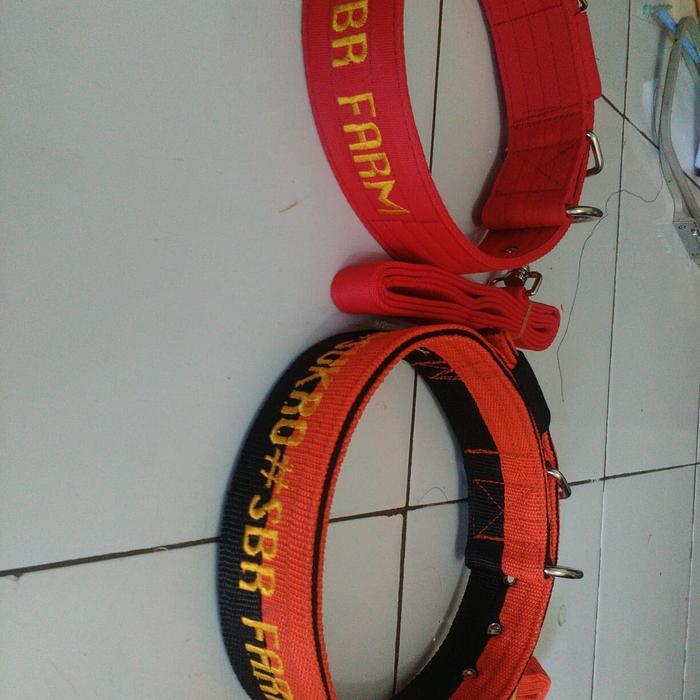 Kalung + Tali Kambing Etawa/Garut/Kontes - Anakan